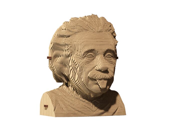 Albert Einstein Puzzle 3D