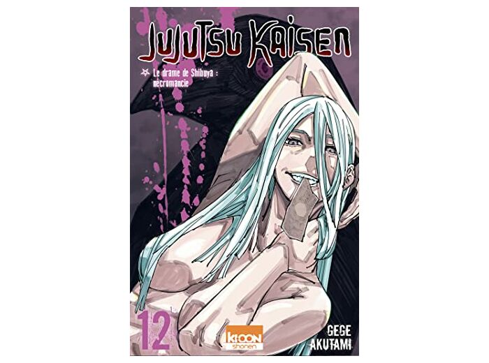 JUJUTSU KAISEN T12 - VOL12