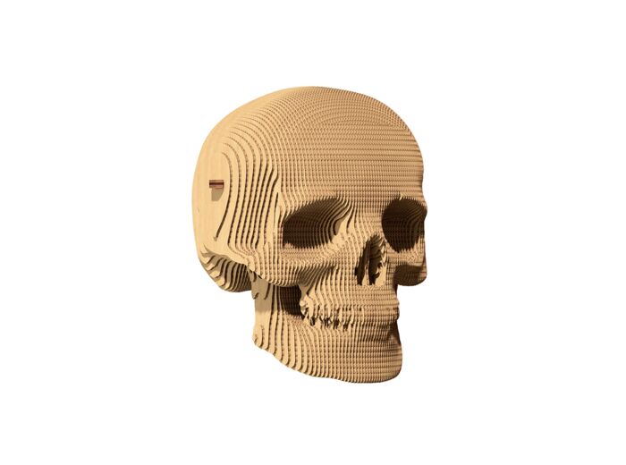 Crâne Puzzle 3D