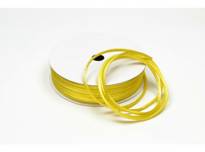 Cordon queue de rat 2 mm d'épaisseur bobine de 10 metres colori jaune