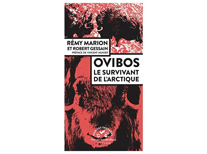 OVIBOS - LE SURVIVANT DE L'ARCTIQUE - ILLUSTRATIONS, NOIR ET BLANC