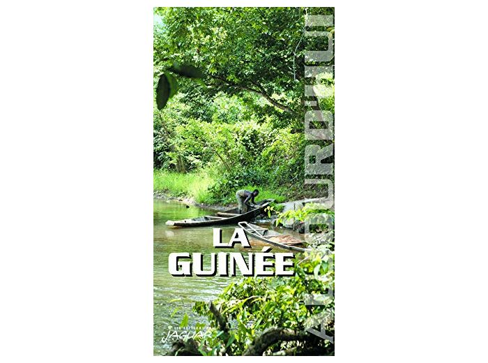 GUINEE (LA) AUJOURD'HUI