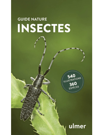 INSECTES