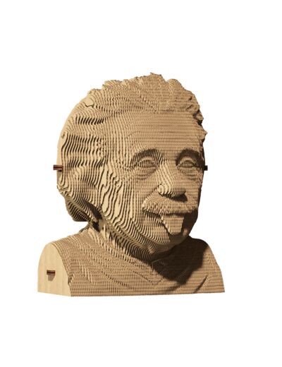 Albert Einstein Puzzle 3D