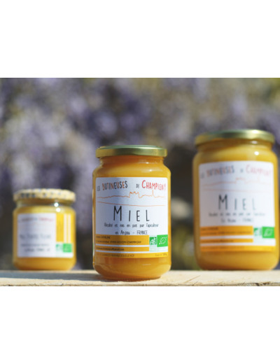 Miel toutes fleurs d'été bio - 500 g