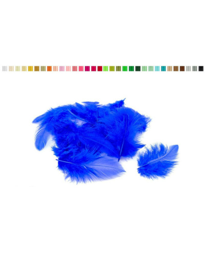 Plumes 6-10 cm bleu roi 352