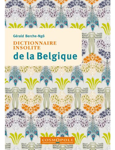 DICTIONNAIRE INSOLITE DE LA BELGIQUE