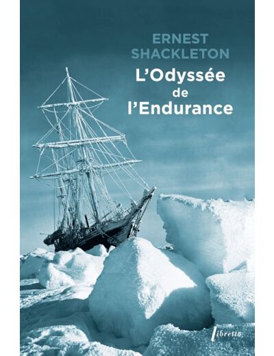 L'ODYSSEE DE L'ENDURANCE