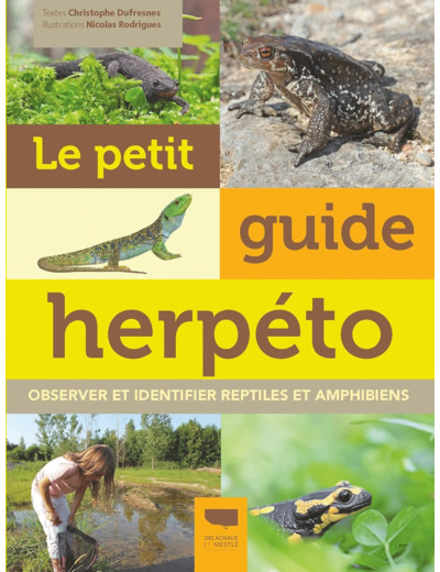 LE PETIT GUIDE HERPETO - OBSERVER ET IDENTIFIER REPTILES ET AMPHIBIENS