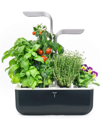 Véritable® Smart (Soft Black Version) - Potager d’Intérieur Fabriqué en France – Jardin Autonome Intelligent avec sa Technologie Adapt’ Light - Livré avec 4 Lingots® SMART Soft Black