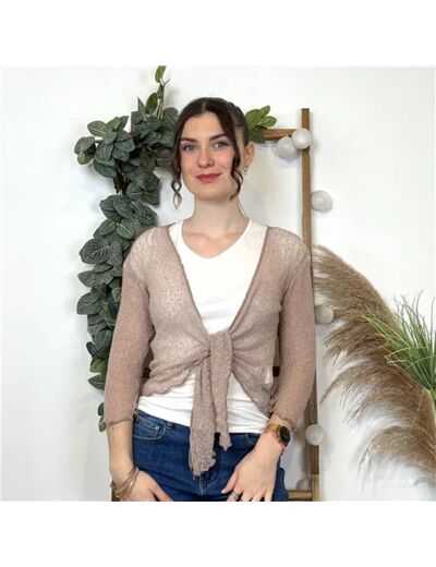 L349- Gilet ajouré à nouer Coline (Tu) (beige)