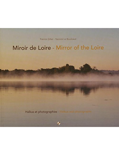 MIROIR DE LOIRE RETREF