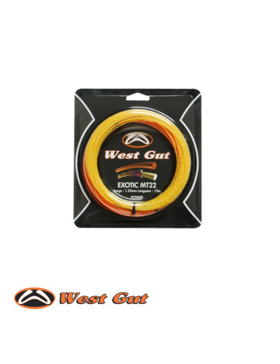 CORDAGE WEST GUT MT 22 GOLD Exotic