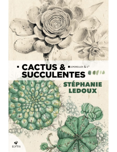 CACTUS & SUCCULENTES