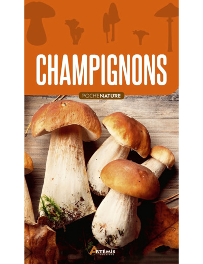 CHAMPIGNONS