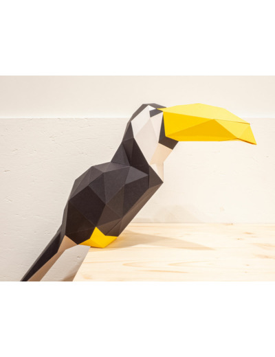 Toucan