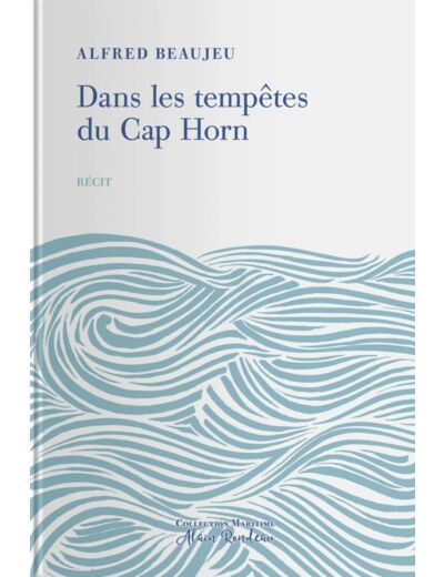 DANS LES TEMPETES DU CAP HORN