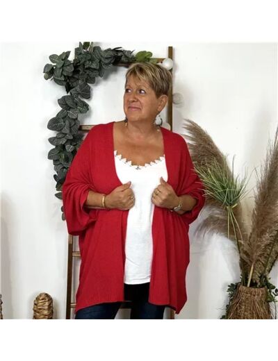 K857- Gilet Maille Nid d abeille (Gt) (rouge)