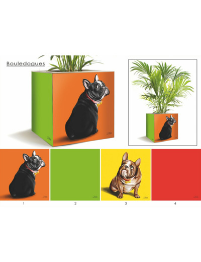 BAC BOULEDOGUE - 30cm x 30cm x 30cm - 4kg