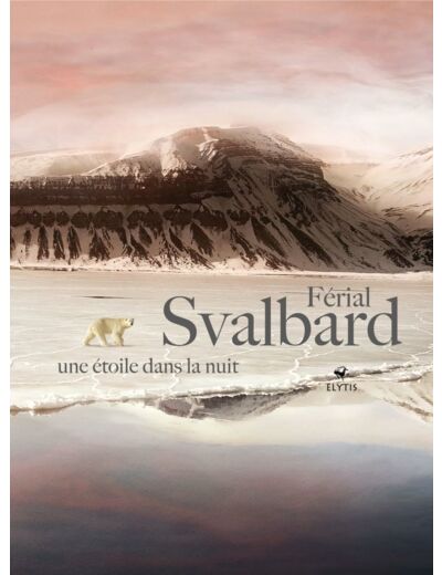 SVALBARD UNE ETOILE DANS LA NUIT