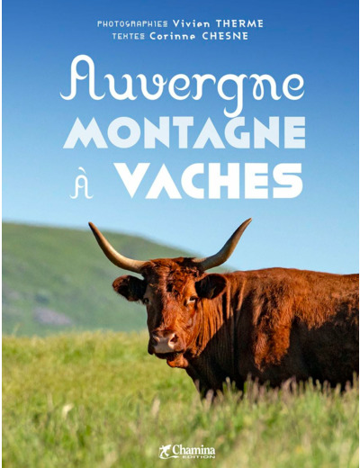 AUVERGNE MONTAGNE A VACHE