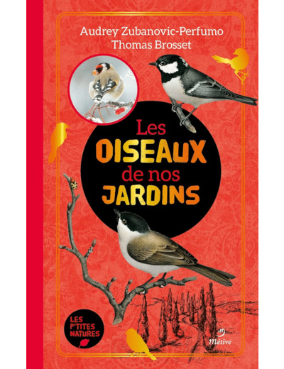 LES OISEAUX DE NOS JARDINS