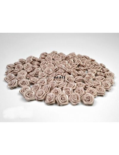 Sachet de 20 petites rose en satin 15 mm CAFE CREME 813