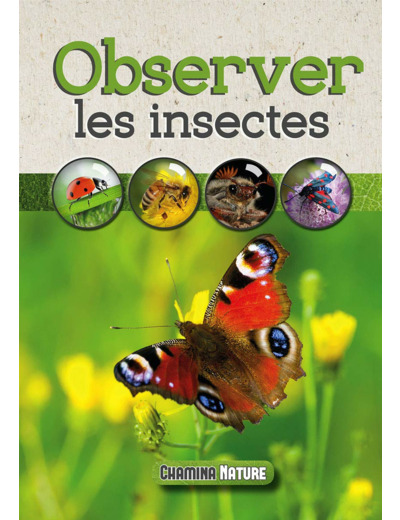 OBSERVER LES INSECTES