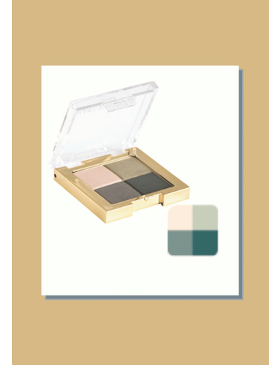 Eye Shadow all seasons n° 22