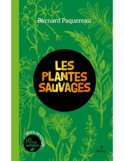 PLANTES SAUVAGES (COLL. LES P'TITES NATURES) (DI) (BP)