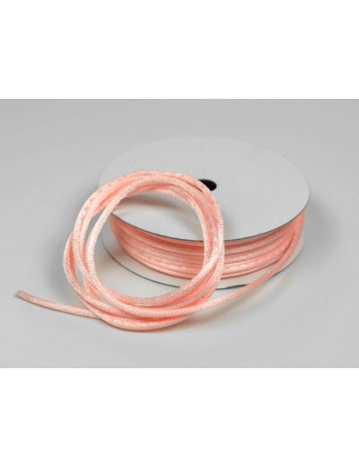 Cordon queue de rat 2 mm d'épaisseur bobine de 10 metres colori rose clair