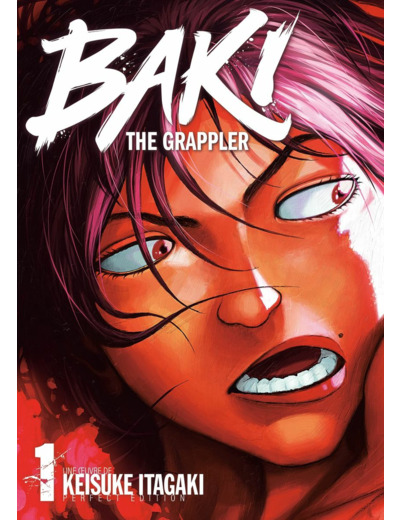 BAKI THE GRAPPLER - TOME 1 - PERFECT EDITION