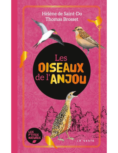 LES OISEAUX DE L'ANJOU