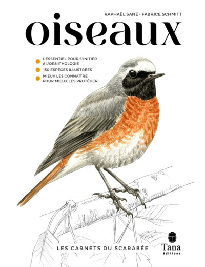 LES CARNETS DU SCARABEE - OISEAUX