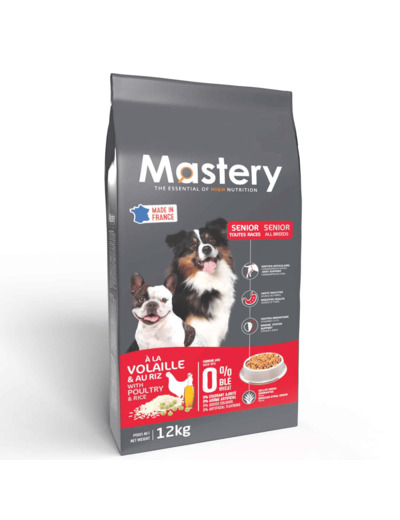 Mastery chien senior