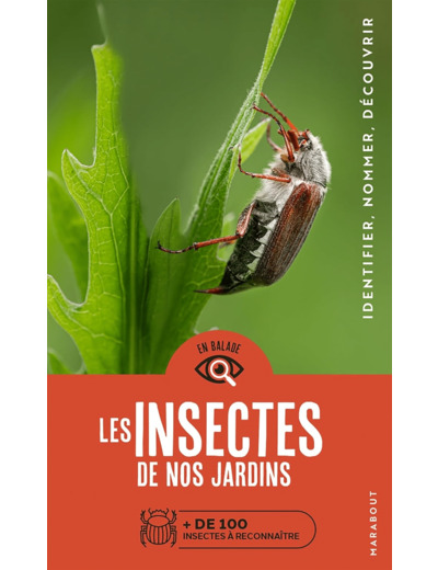 EN BALADE - LES INSECTES DE NOS JARDINS