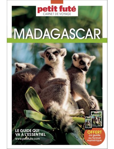 GUIDE MADAGASCAR 2023 CARNET PETIT FUTE