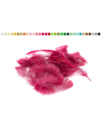 Plumes 6-10 cm bordeaux 270