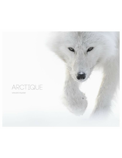 ARCTIQUE