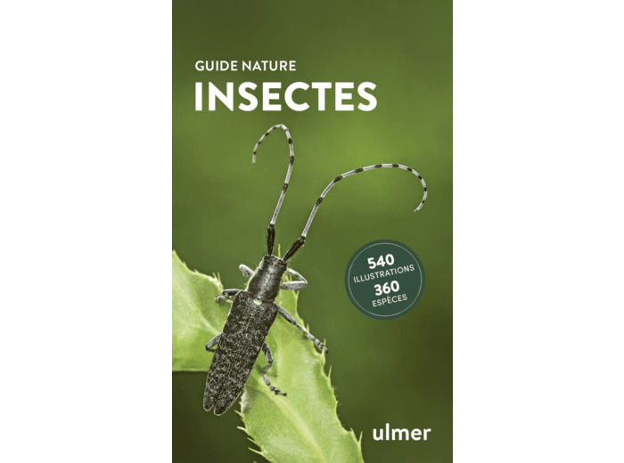 INSECTES