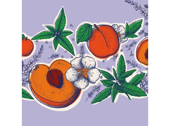Kombucha Verveine - Abricot