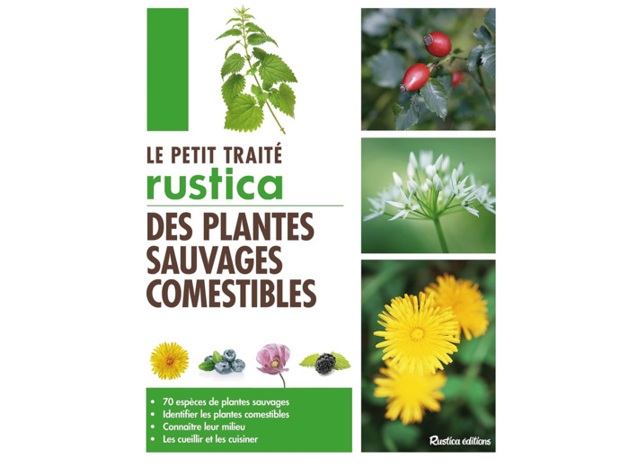 LE PETIT TRAITE RUSTICA DES PLANTES SAUVAGES COMESTIBLES - CUEILLETTES GOURMANDES AU FIL DES SAISONS