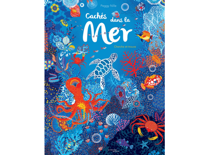 CACHES DANS LA MER - CHERCHE ET TROUVE