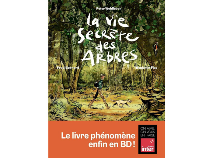 LA VIE SECRETE DES ARBRES EN BD