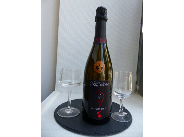 Crémant de Loire blanc brut "Domaine de Gagnebert" (75cl)