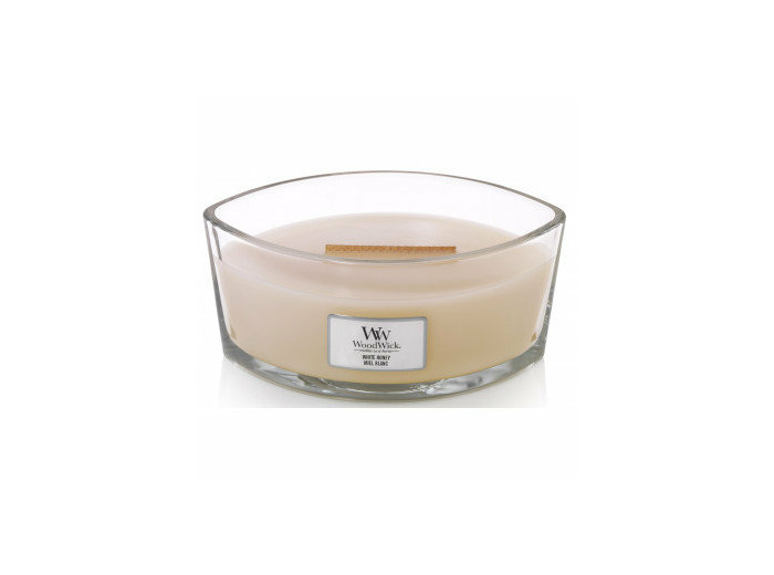 Bougie Ellipse - MIEL BLANC / WHITE HONEY