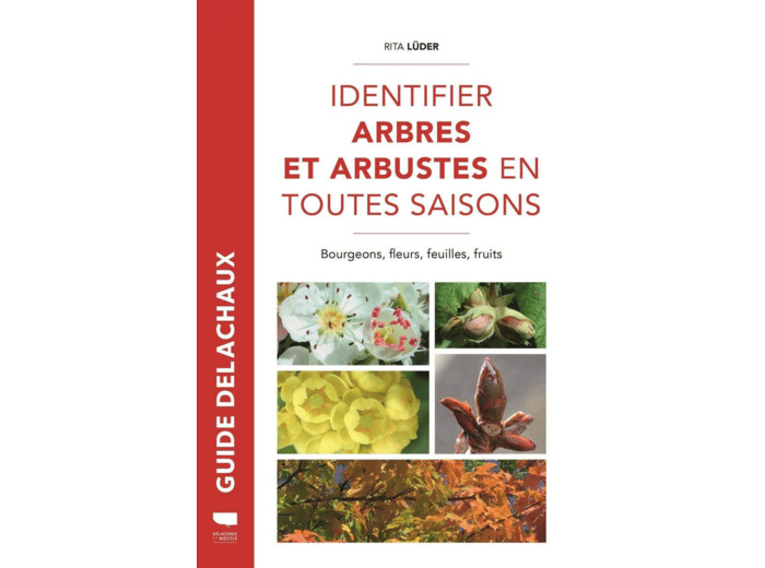 IDENTIFIER ARBRES ET ARBUSTES EN TOUTES SAISONS - BOURGEONS, FLEURS, FEUILLES ET FRUITS