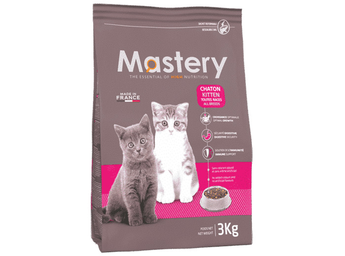 Mastery chaton kitten