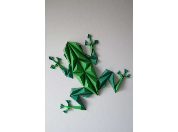 Grenouille Verte en 3D - 33x30cm