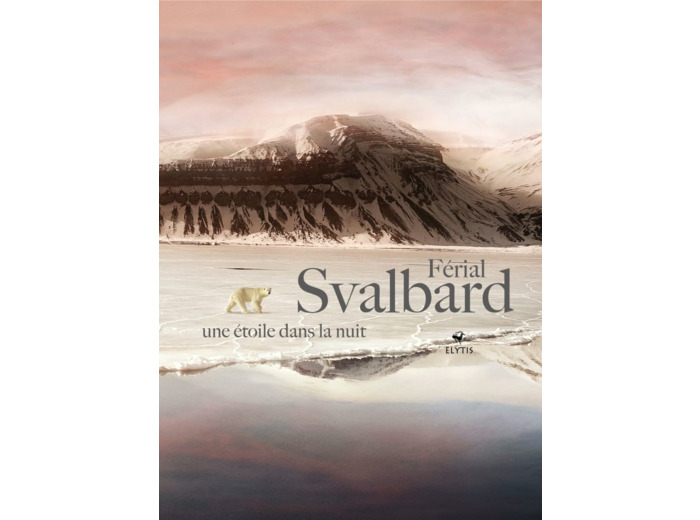 SVALBARD UNE ETOILE DANS LA NUIT